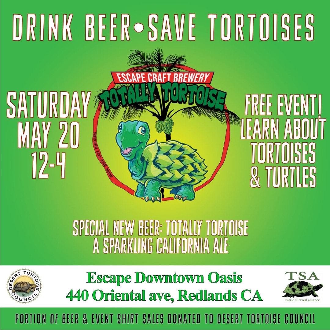 Drink Beer Save Tortoises Flyer