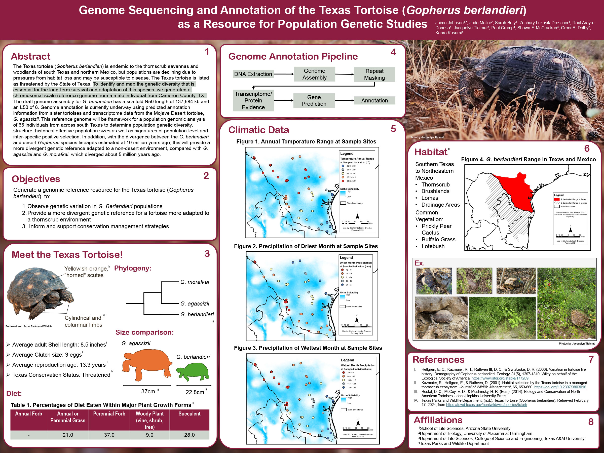 Genome Sequencing and Annotation of the Texas Tortoise (Gopherus berlandieri) as a Resource for Population Genetic Studies