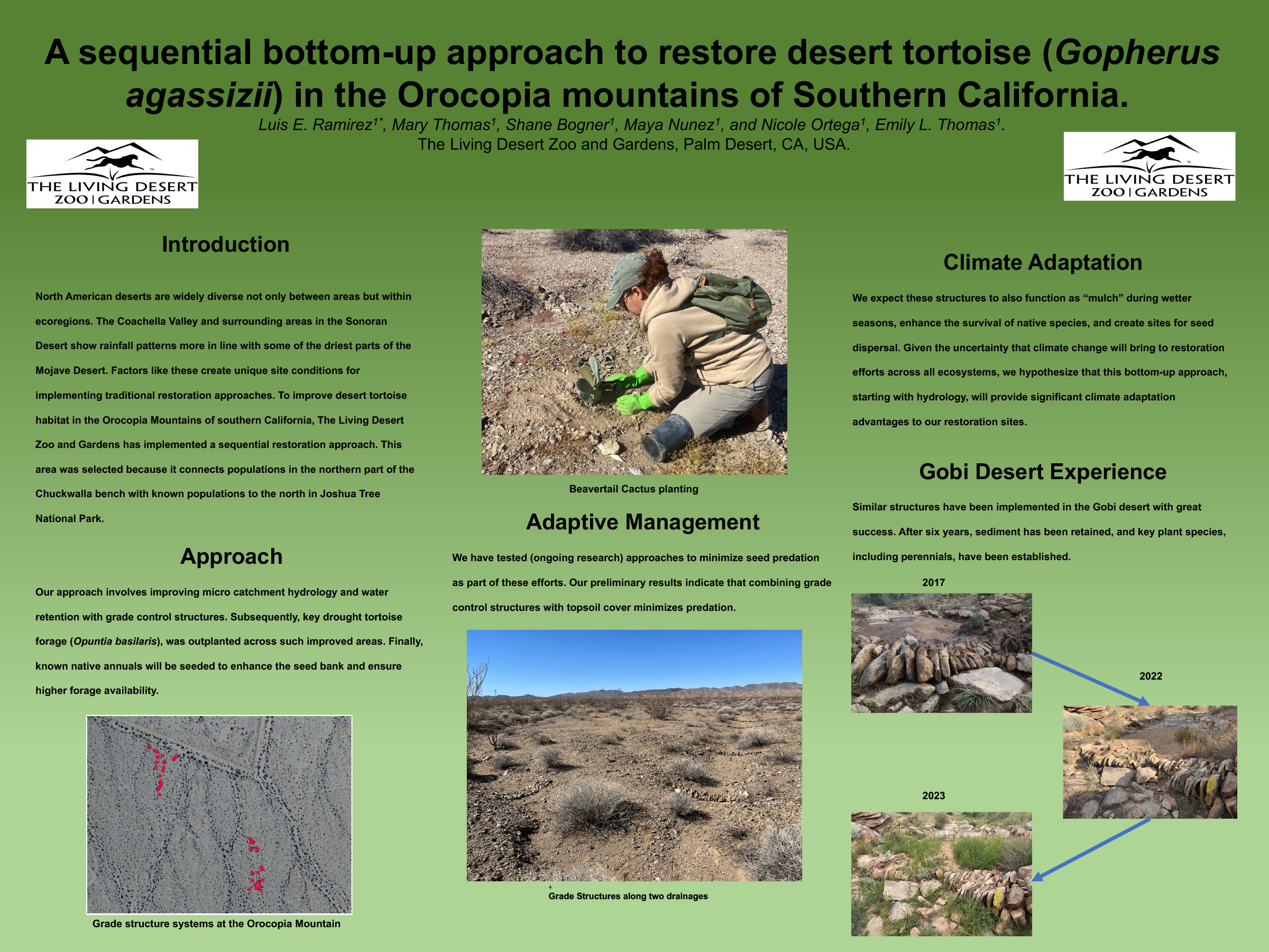 A Sequential Bottom-up Approach to Restore Desert Tortoise (Gopherus Agassizii) in the Orocopia Mountains of Southern California