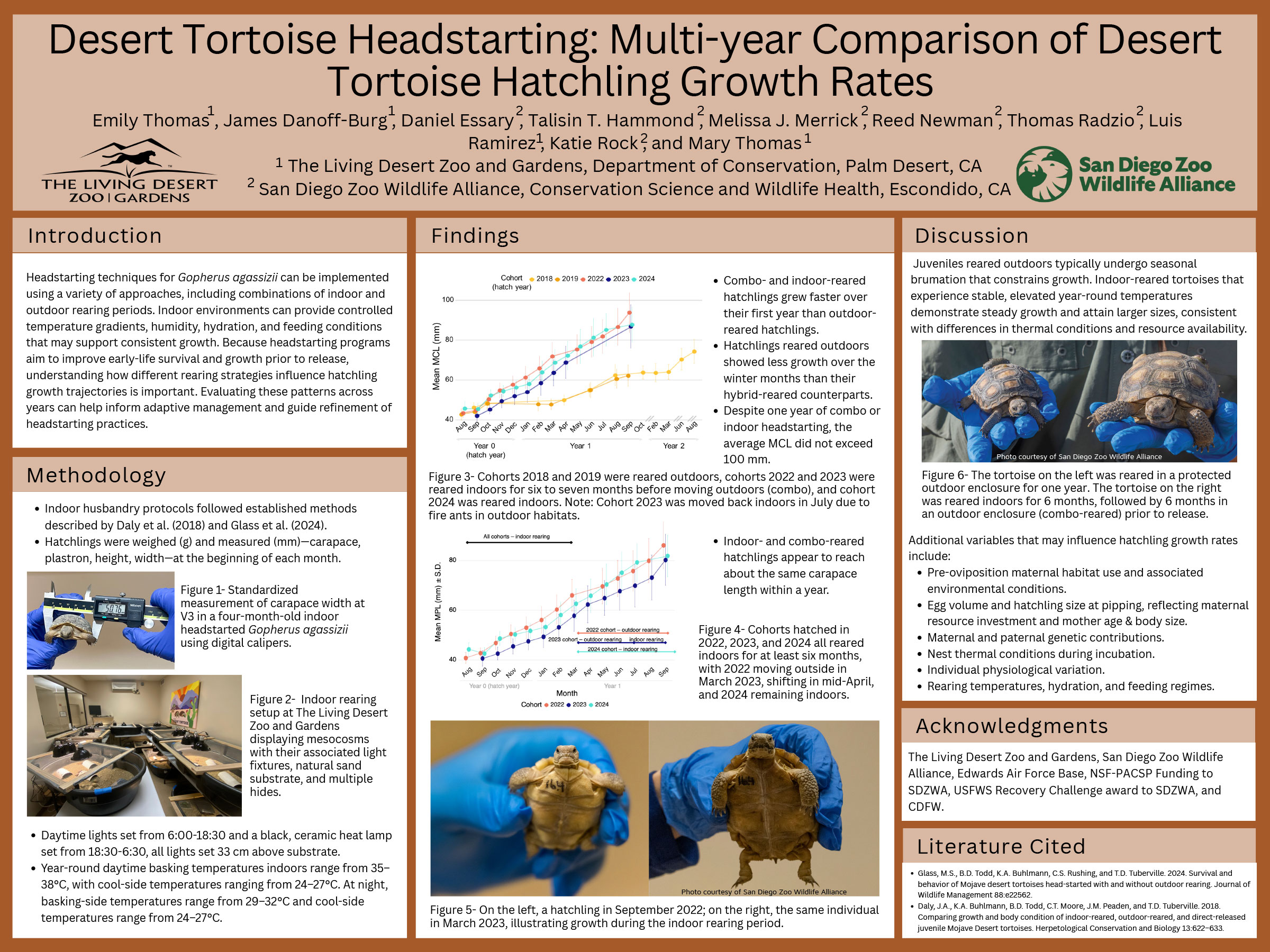 Desert Tortoise Headstarting: Multi-year Comparison of Desert Tortoise Hatchling Growth Rates