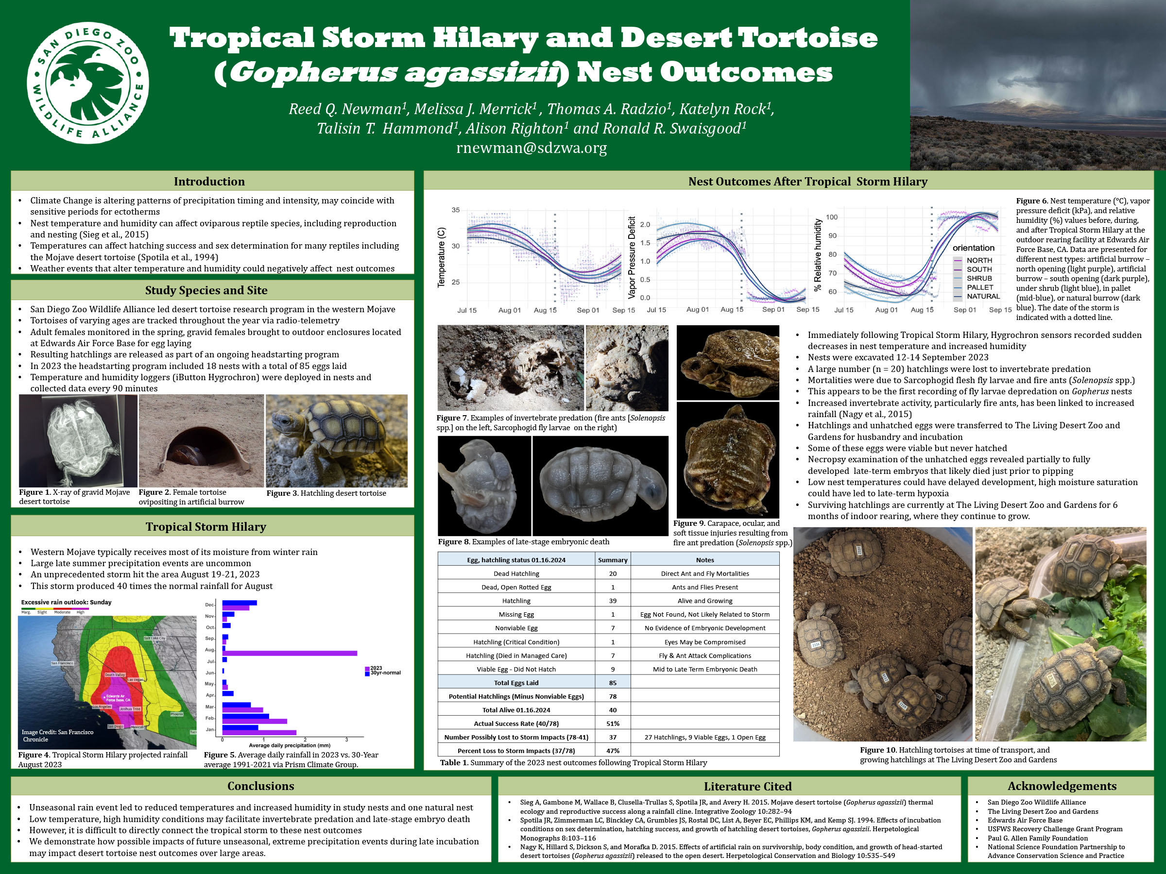 Tropical Storm Hilary and Desert Tortoise (Gopherus agassizii ) Nest Outcomes