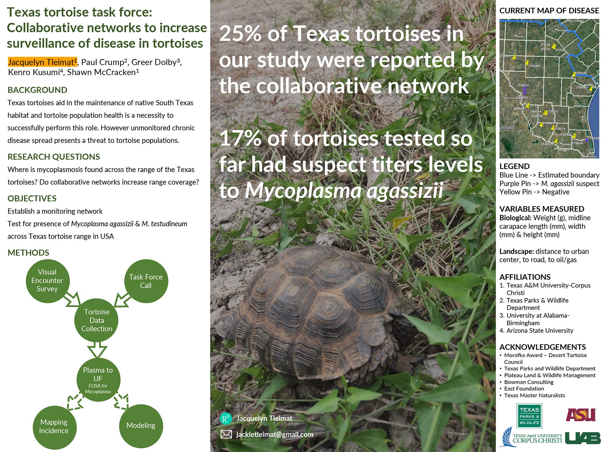 Poster: Texas tortoise task force: Collaborative networks to increase surveillance of disease in tortoises