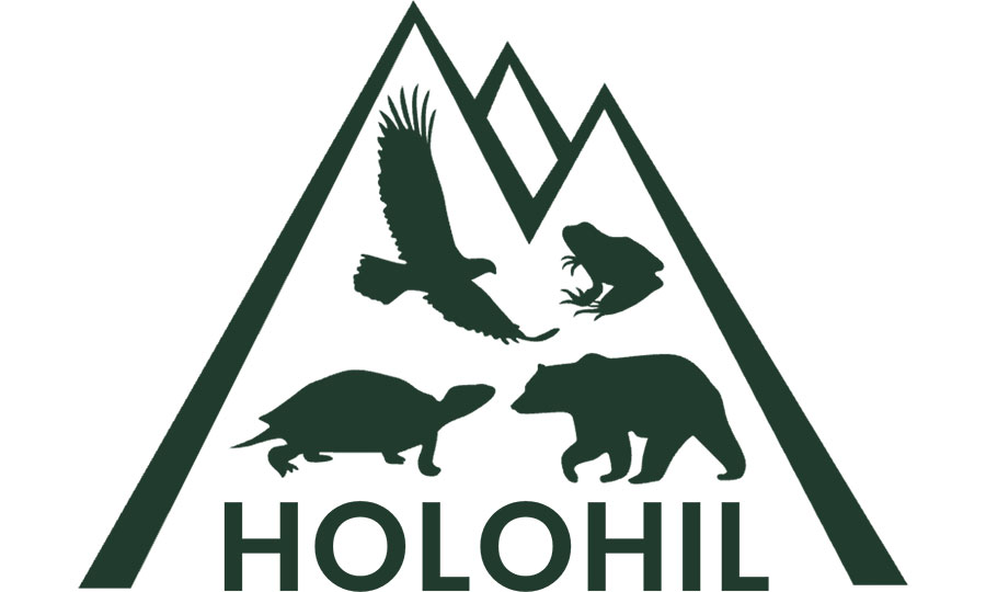 holohil-logo